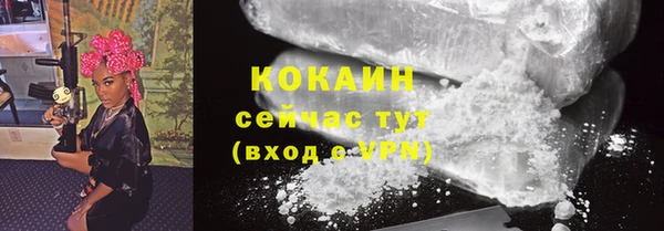 прущие грибы Кущёвская