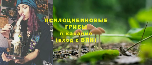 синтетический гашиш Ельня