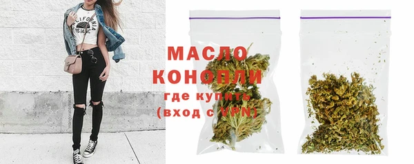 дживик Надым