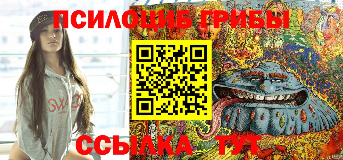 Галлюциногенные грибы Psilocybine cubensis Ипатово